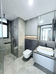 Irwell Hill Residences (D9), Apartment #514175681